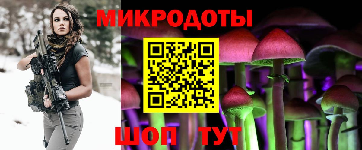 Галлюциногенные грибы Psilocybine cubensis Знаменск